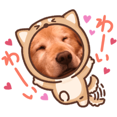 hiroki_20201007125750
