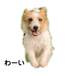 yukomo_20201007130730