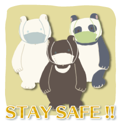 Bear, polar bear, panda