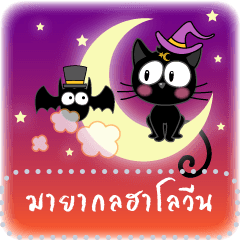 แมวดำ Kiki-Halloween Magic Message