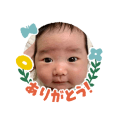 alice_20201007163843