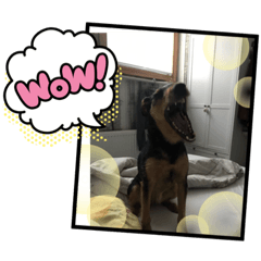 Asako_20201006104625