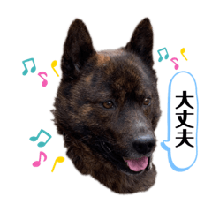 HARUNA_20201007133126