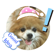 Sweet chat of Cute dog