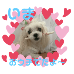 ayumi_20201008070629