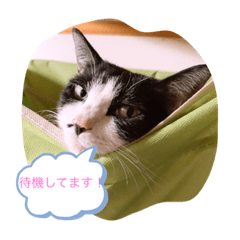 satomin_20201007224034