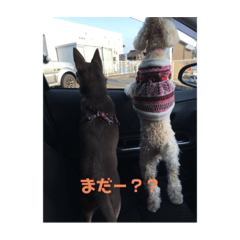 mizuki_20201007212955