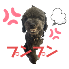 chihiro_20201007190125