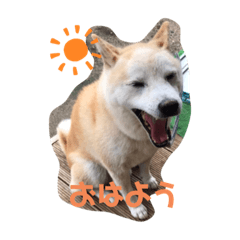 Cherry_20201008010039