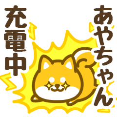 Petit Shiba Ayachan (animation)