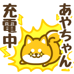 Petit Shiba Ayachan (animation)