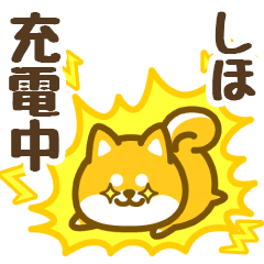 Petit Shiba Shiho (animation)