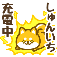 Petit Shiba Shunichi (animation)