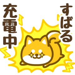 Petit Shiba Subaru (animation)
