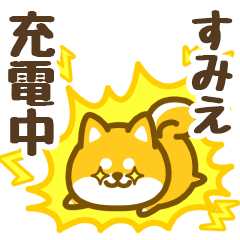 Petit Shiba Sumie (animation)