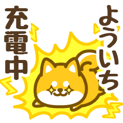 Petit Shiba Youichi (animation)
