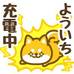 Petit Shiba Youichi (animation)