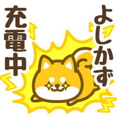 Petit Shiba Yoshikazu (animation)
