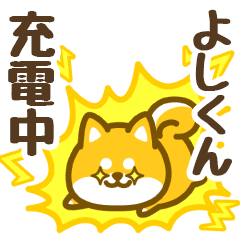 Petit Shiba Yoshikun (animation)