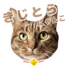 きじとらの可愛いちゃこちゃん Line スタンプ Line Store きじとらの可愛いちゃこちゃん Line スタンプ Line Store