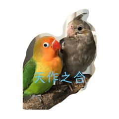 布丁和焦糖(///▽///)