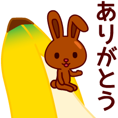 Chocolate rabbits Animated