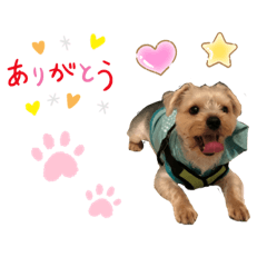 itsuki_20201008145954