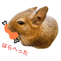 chiro_20201008155407