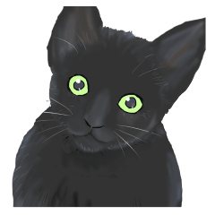 one black cat sticker