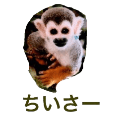 かわいい動物オールスター 人気動物勢揃い Line スタンプ Line Store