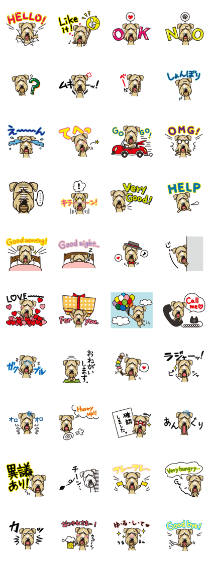 iinu - Irish Soft-Coated Wheaten Terrier