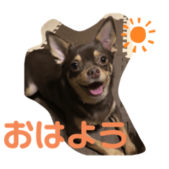 mizuki_20201008173728