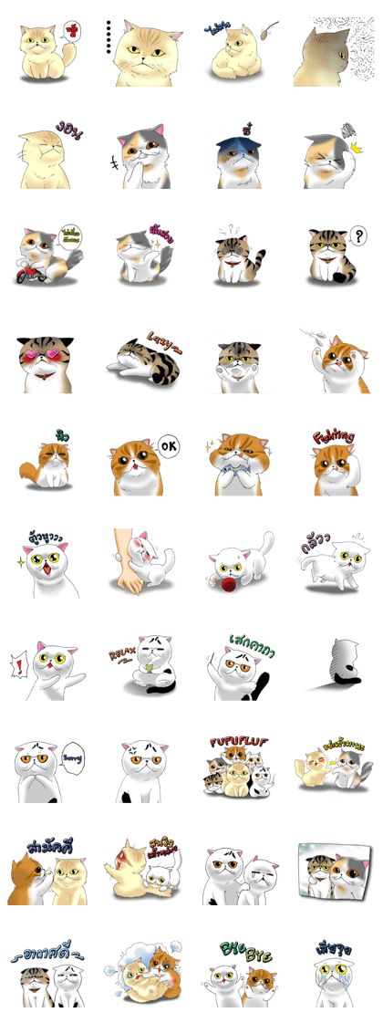 Fufufluf Cattery