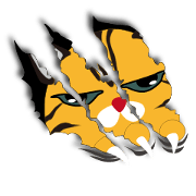 Tiger cats