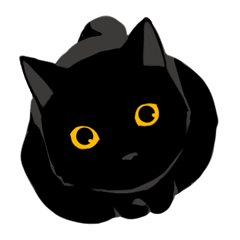淡泊きまぐれな黒猫