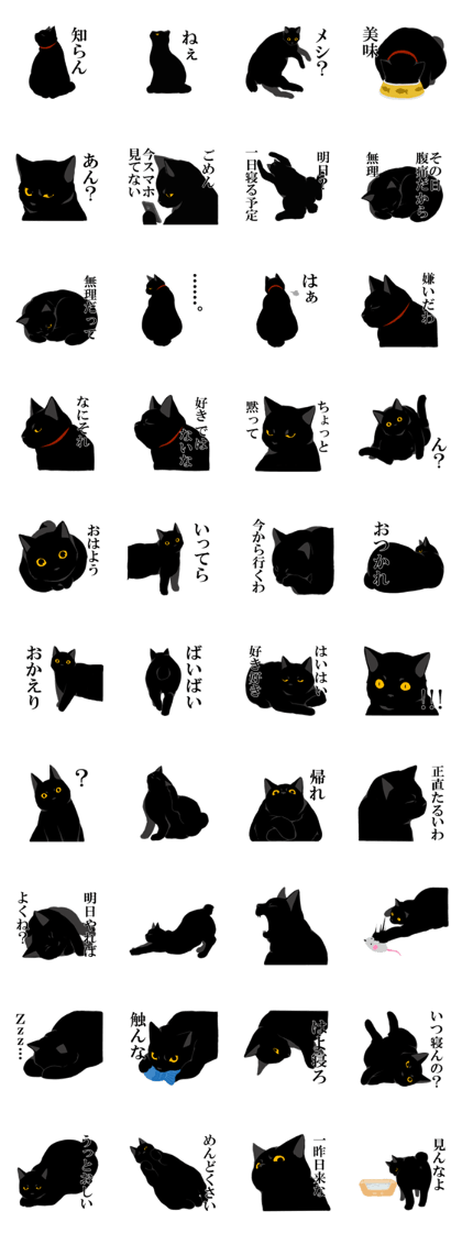 The frank and capricious black cat