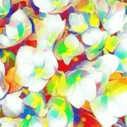 Flower word