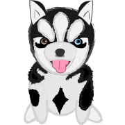 Ava fluffy puppy