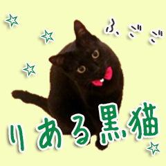 The black cat Sticker 2