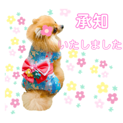 saya_20201008230505
