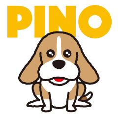 beagle dog "Pino"
