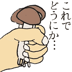 Shiitake mushrooms shiitakeo moves