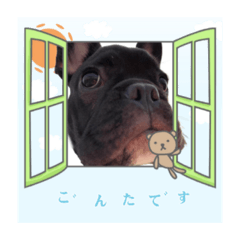 ken_20201009gonta