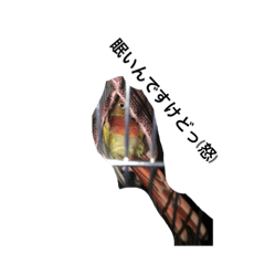 SATOSHI_20201008201424