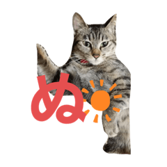 ayumi_20201008232328