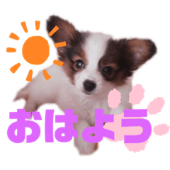 chihiro_20201008233703