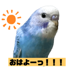 kazuki_20201009072242