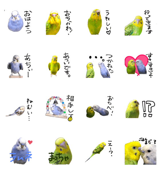 セキセイインコの抹茶とラムネ Lineクリエイターズスタンプ Stamplist セキセイインコの抹茶とラムネ Lineクリエイターズスタンプ Stamplist