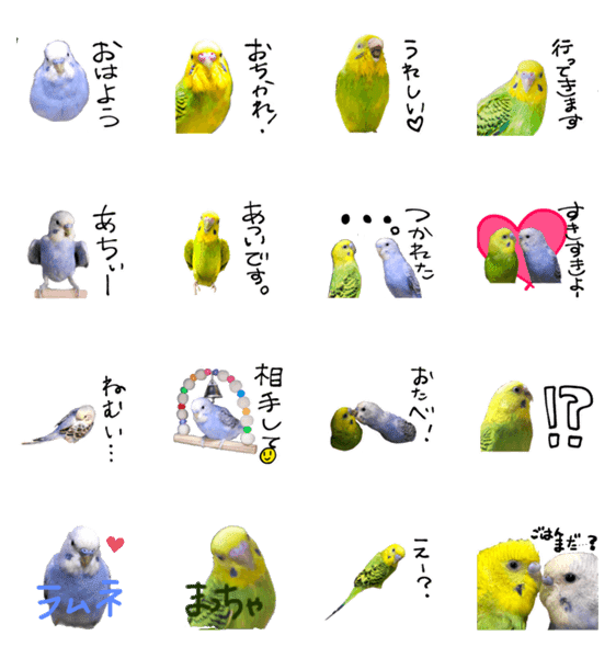 セキセイインコの抹茶とラムネ Lineクリエイターズスタンプ Stamplist