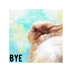 兔子星球小霸王—阿肉篇。